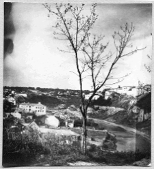 Kamieniec Podolski, panorama