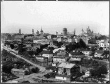 Kamieniec Podolski, panorama