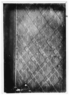 Kamieniec Podolski, zamek