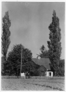 Kamień Koszyrski, domy