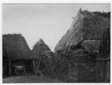 Kamień Koszyrski, staw