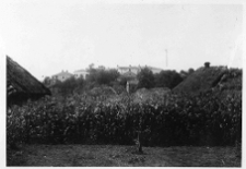 Klewań, zamek książąt Czartoryskich, ruiny