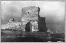 Krzemieniec, zamek, ruiny