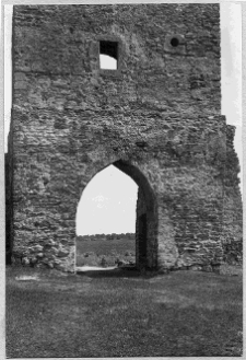 Krzemieniec, zamek, ruiny