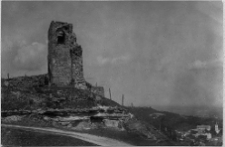 Krzemieniec, zamek, ruiny