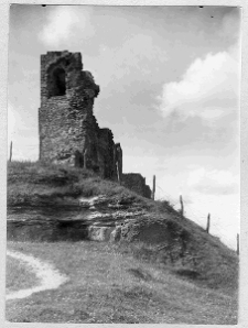 Krzemieniec, zamek, ruiny