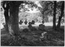 Krzemieniec, cmentarz Piatnicki