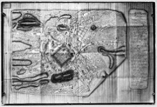 Lw&oacute;w, plan miasta przed 1939