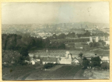 Lw&oacute;w, panorama