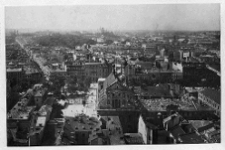 Lw&oacute;w, panorama poczatek XX wieku