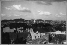 Lw&oacute;w, panorama