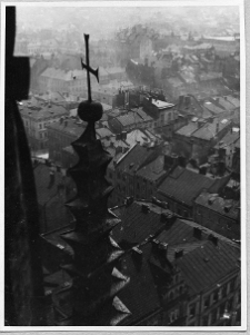 Lw&oacute;w, panorama