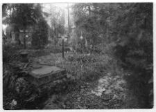 Lw&oacute;w, Cmentarz Łyczakowski