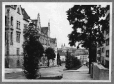 Lw&oacute;w, ulica Kadecka