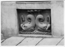 Lw&oacute;w, ulica Ruska 8, Kamienica Filipowiczowska, dekoracja rzeźbiarska, dwa delfiny