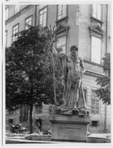 Lw&oacute;w, Rynek, studnia Neptuna