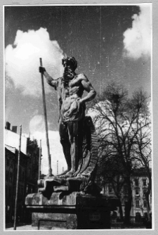 Lw&oacute;w, Rynek, studnia Neptuna