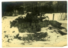 Lw&oacute;w, fortyfikacje