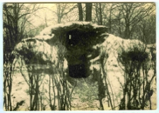 Lw&oacute;w, fortyfikacje