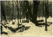 Lw&oacute;w, fortyfikacje