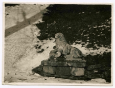 Lw&oacute;w, G&oacute;ra Zamkowa, pomnik lwa pod kopcem Unii Lubelskiej