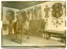 Lw&oacute;w,fragment ekspozycji, muzeum