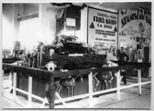 Lw&oacute;w,fragment ekspozycji, muzeum