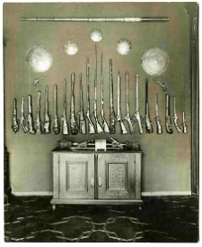 Lw&oacute;w, broń palna