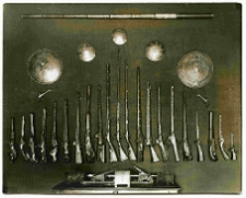 Lw&oacute;w, fragment ekspozycji, broń palna