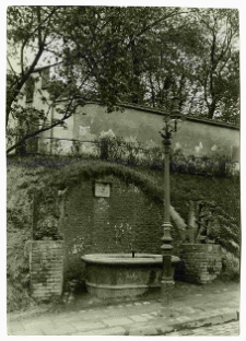 Lw&oacute;w, studnia z lwami pod murem kościoła świętego Łazarza, ulica Kopernika