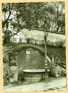 Lw&oacute;w, studnia z lwami pod murem kościoła świętego Łazarza, ulica Kopernika