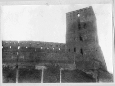 Łuck, Zamek Lubarta