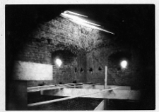 Łuck, Zamek Lubarta