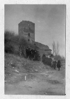 Łuck, Zamek Lubarta