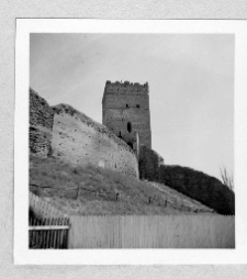 Łuck, Zamek Lubarta