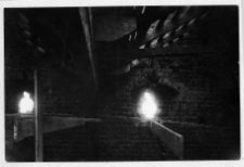 Łuck, Zamek Lubarta