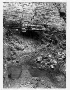 Łuck, Zamek Lubarta