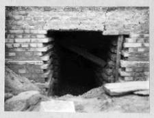 Łuck, Zamek Lubarta