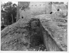 Łuck, Zamek Lubarta