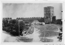 Łuck, Zamek Lubarta