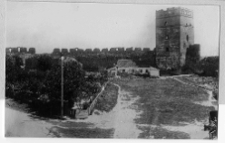 Łuck, Zamek Lubarta