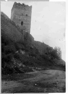 Łuck, Zamek Lubarta