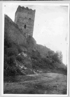 Łuck, Zamek Lubarta