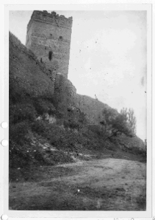 Łuck, Zamek Lubarta