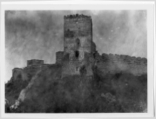 Łuck, Zamek Lubarta