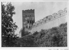 Łuck, Zamek Lubarta