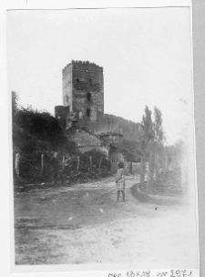 Łuck, Zamek Lubarta