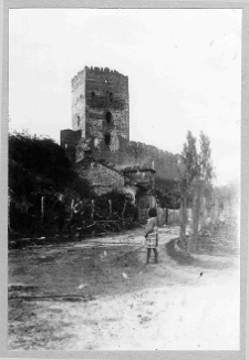 Łuck, Zamek Lubarta