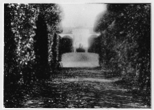 Boczejk&oacute;w, pałac Ciechanowieckich, widok od strony parku