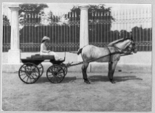 Browki, dw&oacute;r Ścibor-Rylskich, fragment ogrodzenia łączącego dw&oacute;r z oficynami